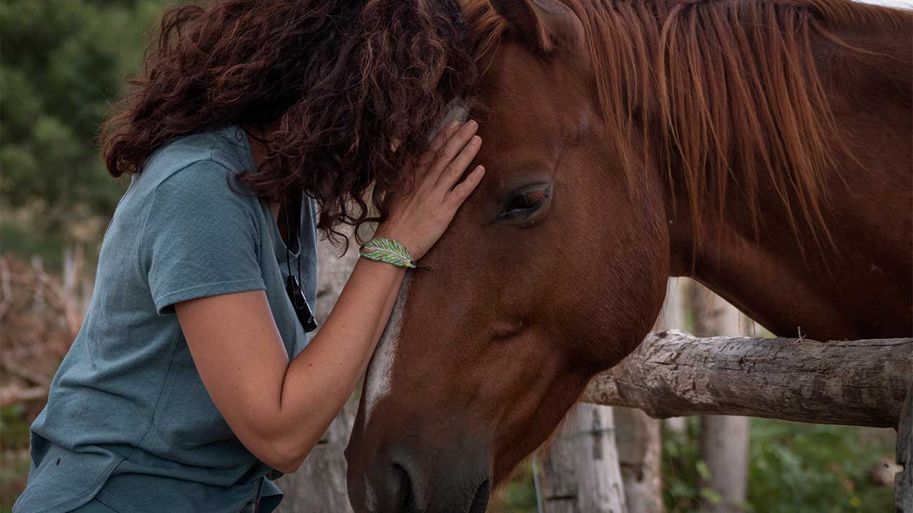 Equine Therapy For Addiction